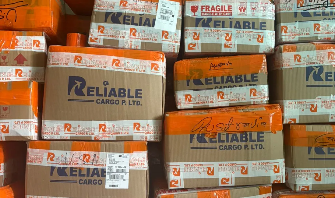 Beyond Delivery — We Deliver Reliability